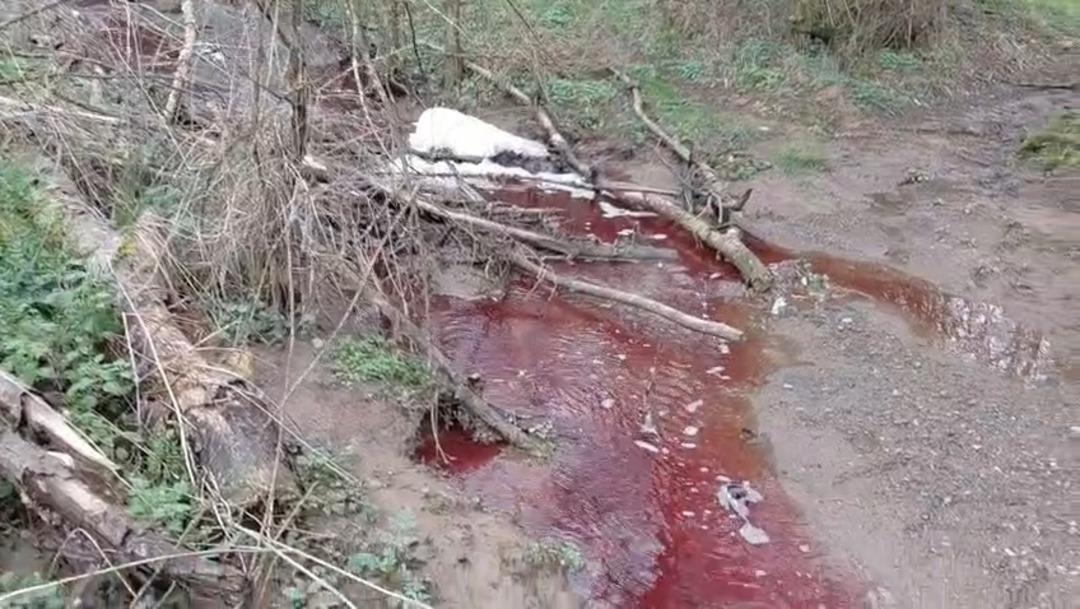 İstanbul un suyuna ne karıştı? Hayvan kanı bile olabilir! "16 milyon insanın i&ccedil;tiği suyu karşılıyor" 2