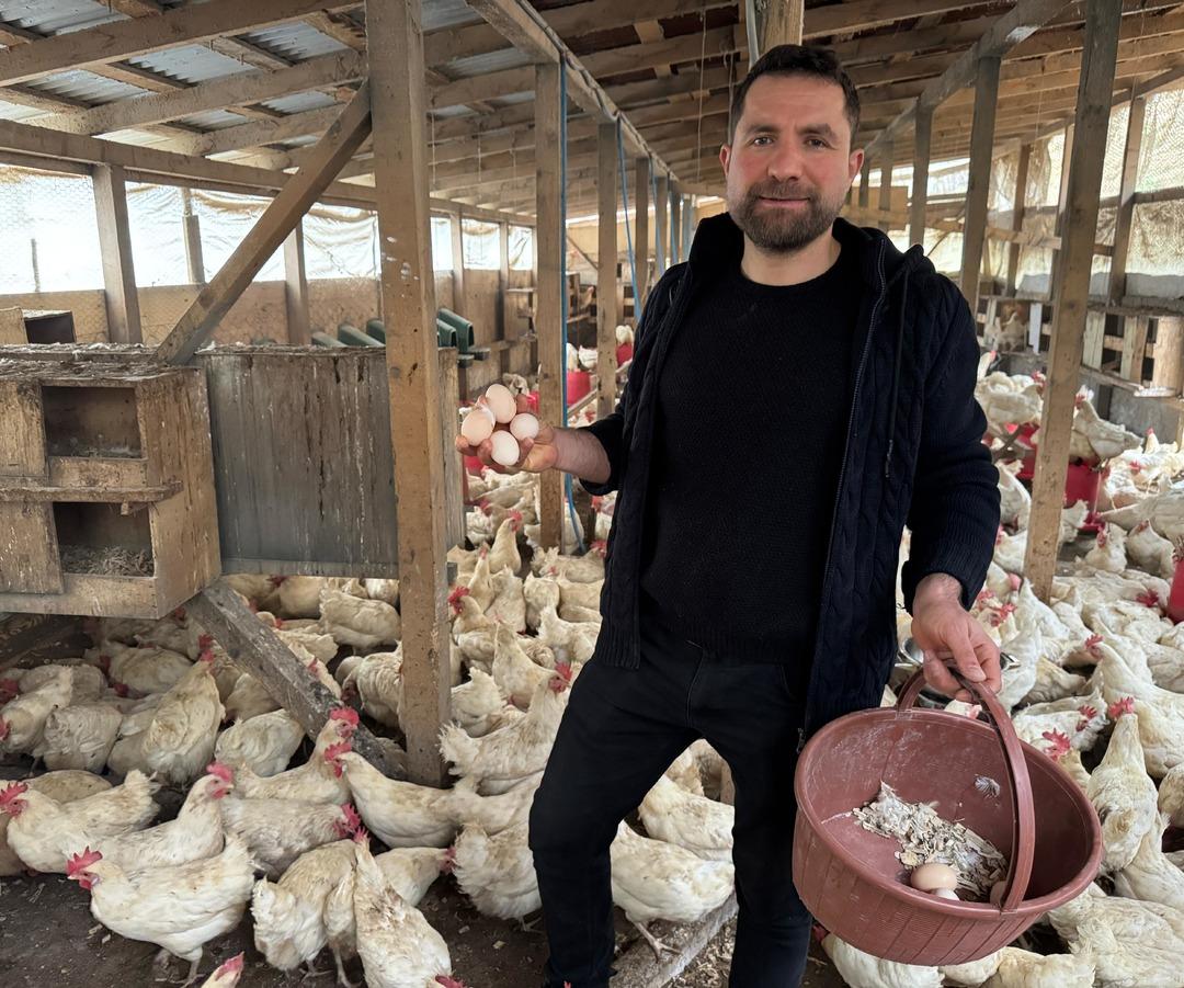 Tavukları strese girdiği i&ccedil;in k&uuml;meste mısır patlattı! Verimleri bakın nasıl arttı 5