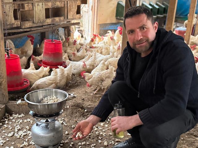 Tavukları strese girdiği i&ccedil;in k&uuml;meste mısır patlattı! 