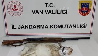 Van&rsquo;da tavşan avlayan şahsa 29 bin TL ceza