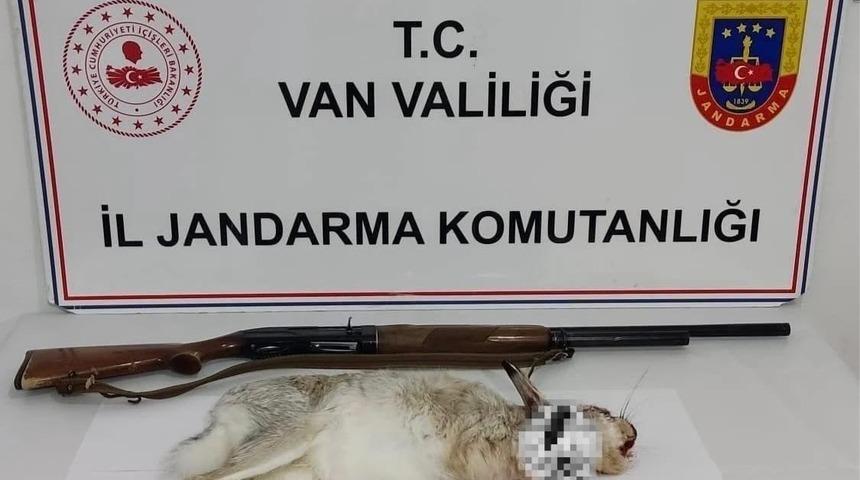 Van&rsquo;da tavşan avlayan şahsa 29 bin TL ceza