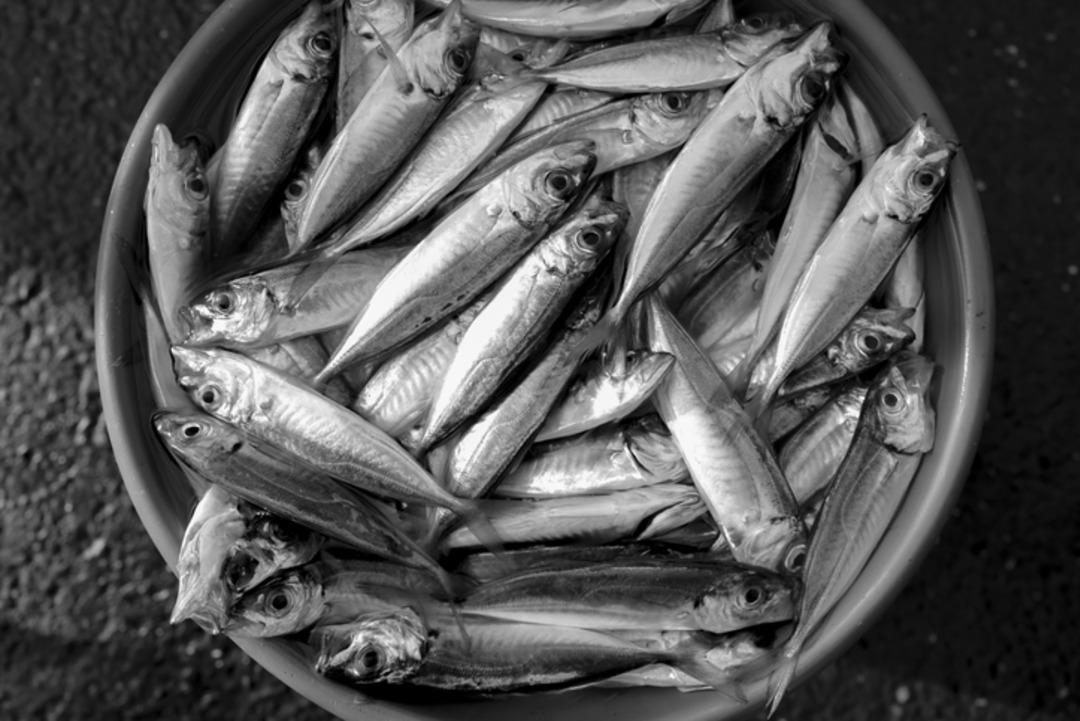 Buzdolabında tuttuğunuzda sizi zehirleyebilecek gıdalar 1