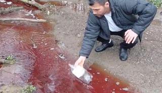 İstanbul'un suyuna ne karıştı? Hayvan kanı bile olabilir!