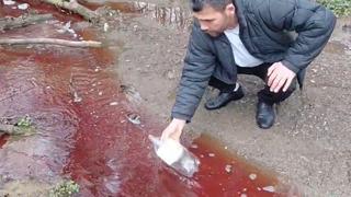 İstanbul'un suyuna ne karıştı? Hayvan kanı bile olabilir! 16 milyon insanın içtiği suyu karşılıyor