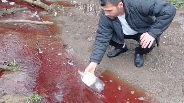 İstanbul'un suyuna ne karıştı? Hayvan kanı bile olabilir! 16 milyon insanın içtiği suyu karşılıyor