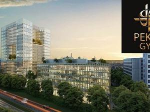 PEKGY neden tavan oldu?