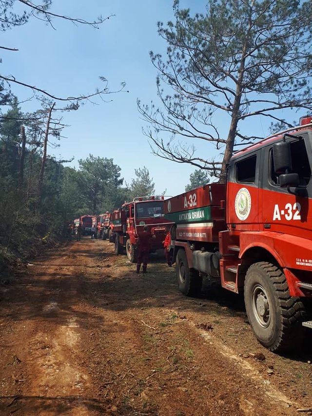 PKK'lı teröristler ormanı ateşe verdi; 5 hektar zarar gördü