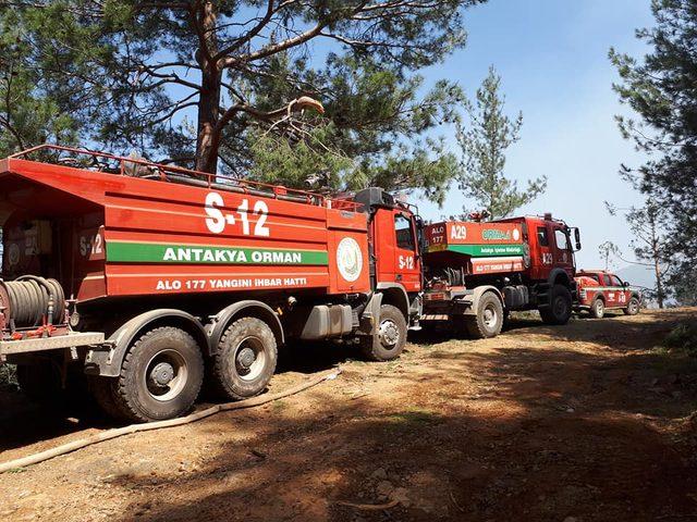 PKK'lı teröristler ormanı ateşe verdi; 5 hektar zarar gördü