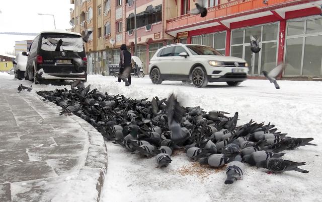 Kars, Ardahan, Tunceli ve Erzurum da kar yağışı etkili oldu 5