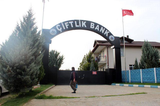 Çiftlik Bank'ın tavukları ve yumurtaları satılıyor