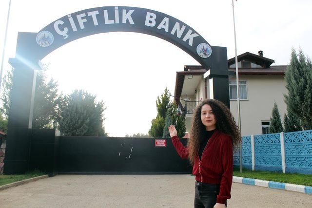 Çiftlik Bank'ın tavukları ve yumurtaları satılıyor