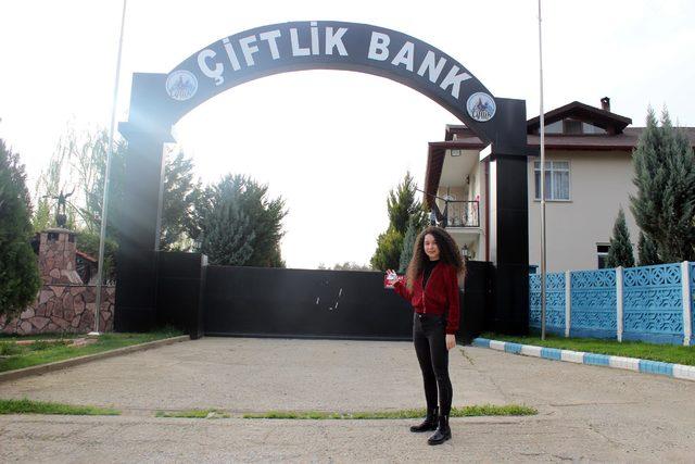 Çiftlik Bank'ın tavukları ve yumurtaları satılıyor