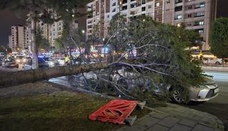 Meteoroloji&rsquo;den &rsquo;kuvvetli r&uuml;zgar&rsquo; ve &rsquo;fırtına&rsquo; uyarısı