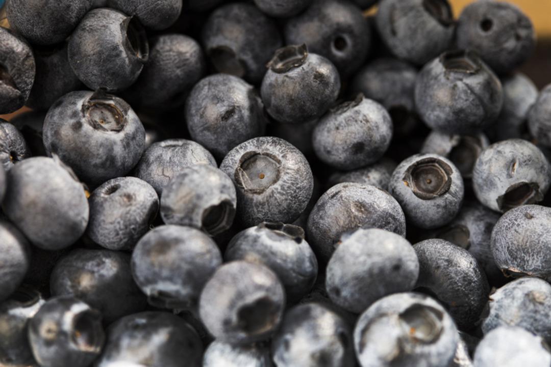 En hızlı yağ yaktıran besin a&ccedil;ıklandı! Bilime g&ouml;re mum gibi yağları eriten bir numaralı meyve 3