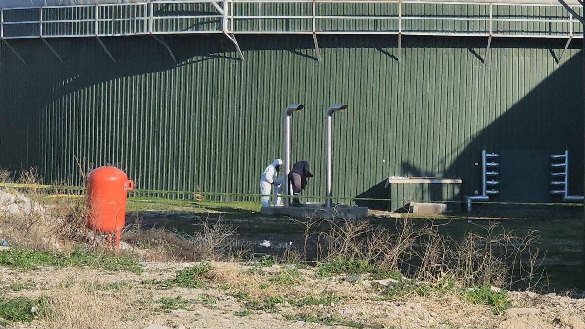 Amasya'da biyogaz tesisinde facia! Zehirlenen 3 işçi hayatını kaybetti - Mynet Yaşam