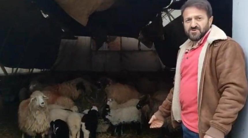 Trabzon&rsquo;da ilgin&ccedil; g&ouml;r&uuml;nt&uuml;ler