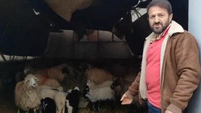 Trabzon’da ilginç görüntüler