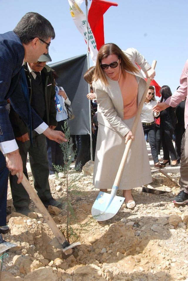 Gönül Elçileri Silifke’de fidanları toprakla buluşturdu