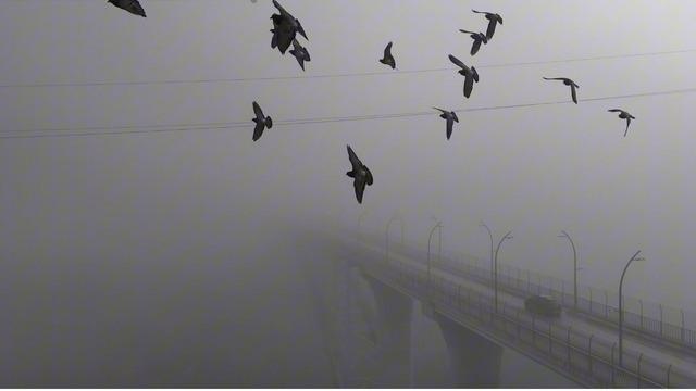 Yoğun sisten kaybolan yapılar dronla görüntülendi