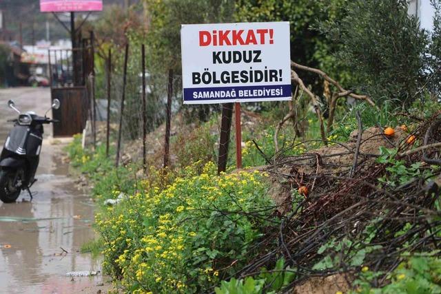 Hatay&rsquo;da 4 mahalleye kuduz karantinası 4