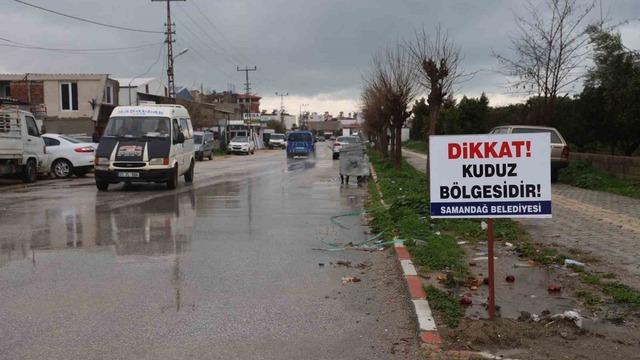 Hatay’da 4 mahalleye kuduz karantinası