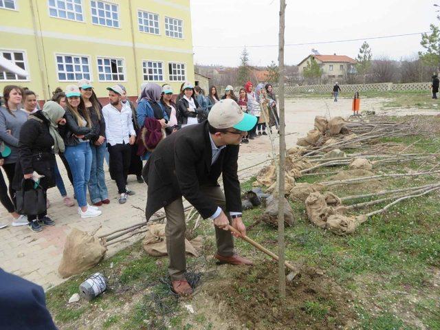 Pazarlar’da kampüs alanı ağaçlandırıldı