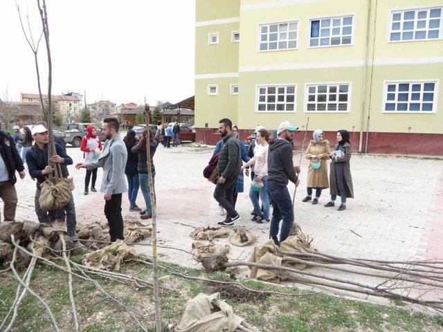 Pazarlar’da kampüs alanı ağaçlandırıldı