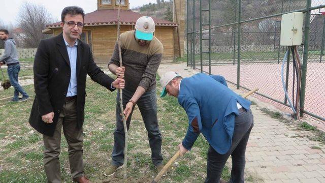 Pazarlar’da kampüs alanı ağaçlandırıldı