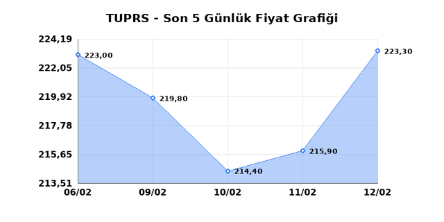 TÜPRAŞ (TUPRS) 13 Şubat Cuma 2026 Günlük Teknik Analiz 1