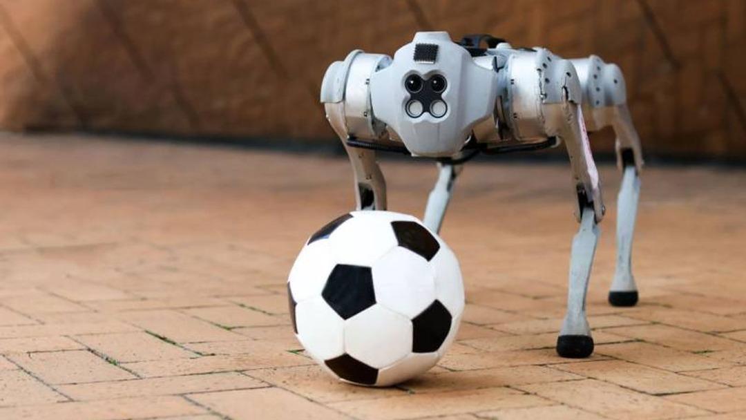  Meksika asayiş önlemlerini artırıyor 1