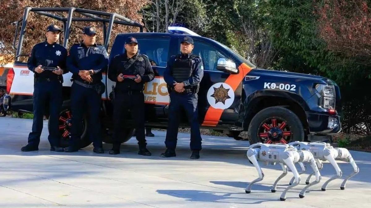 2026 Dünya Kupası'nda robot köpekler devriye gezecek: Meksika güvenlik önlemlerini artırıyor