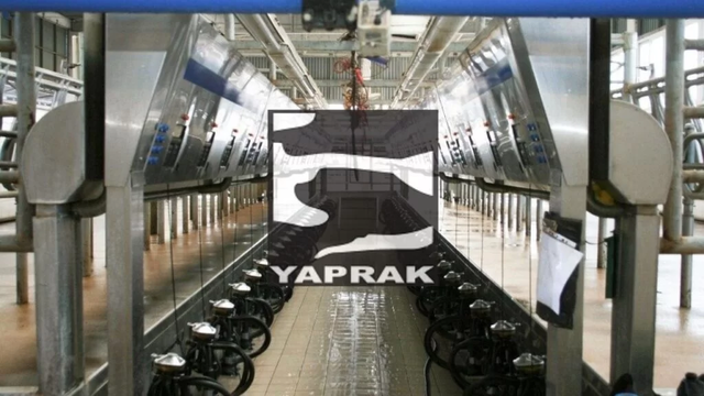 YAPRK Yatırımcısına M&uuml;jde! 500 Lotunuz 10.500 Lot Olacak: Dev Bedelsiz Onayı &Ccedil;ıktı