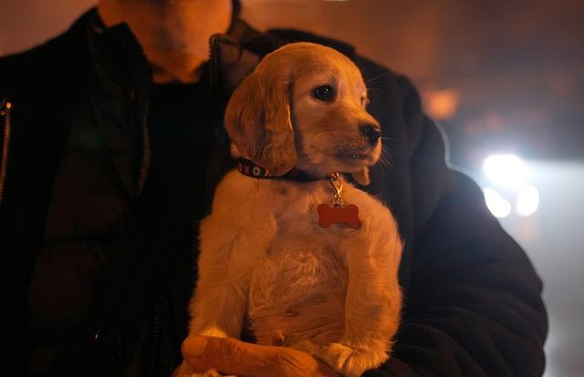 Kağıthane de iş hanında &ccedil;ıkan yangında mahsur kalan 11 kişi kurtarıldı 2