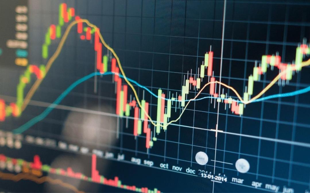 Tatilbudur halka arz yolunda: SPK başvurusu yapıldı 1