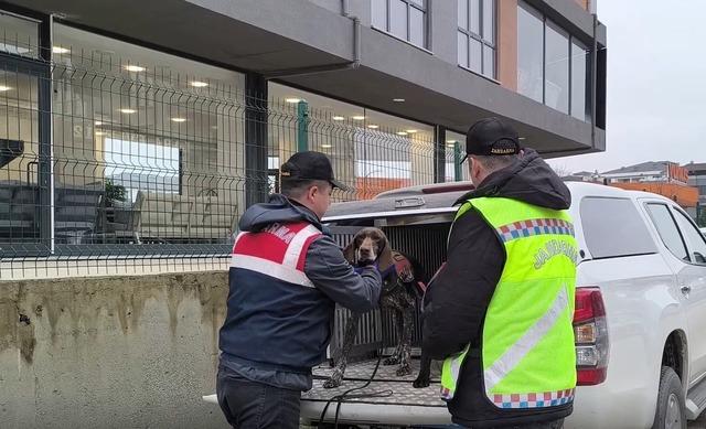 Düzce’de suç örgütü operasyonu: 36 gözaltı 1