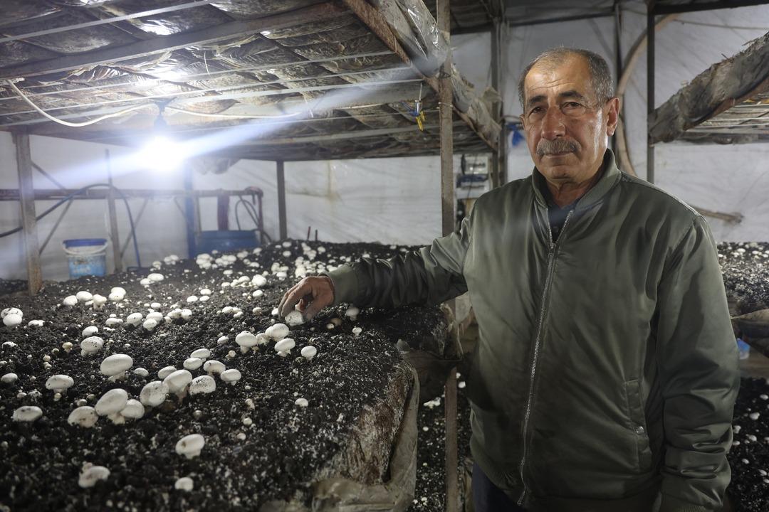 Altınlarını satıp bu işe girdi!  Burada kimse bilmiyor  70 g&uuml;nde 3 kez hasat yapıyor 2