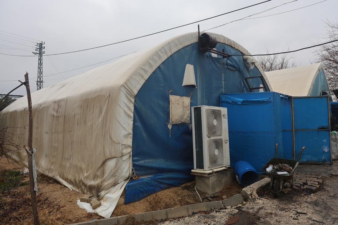 Altınlarını satıp bu işe girdi!  Burada kimse bilmiyor  70 g&uuml;nde 3 kez hasat yapıyor 3