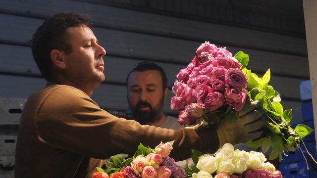 Sevgililer Günü öncesi çiçek sektöründe hareketlilik! Tatlı bir telaş var
