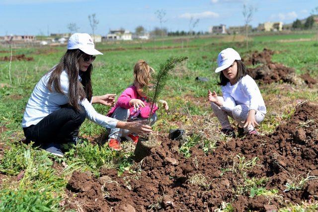 Öğrenciler Kent Ormanında fidan dikti