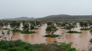 Osmaniye'de sağanak nedeniyle bazı evleri ve tarım arazilerini su bastı