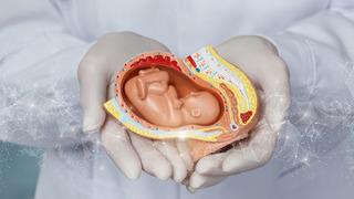 Tüp bebek tedavisinde devlet desteği artıyor: Tüm şartlar değişiyor!