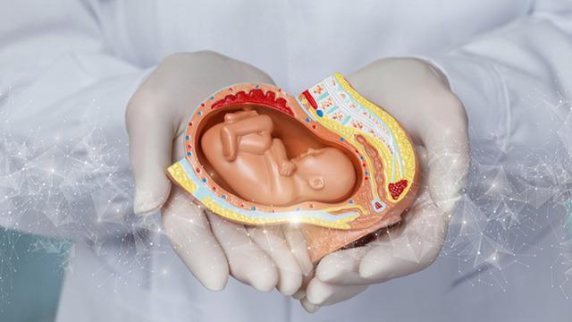 Tüp bebek tedavisinde devlet desteği artıyor: Tüm şartlar değişiyor!