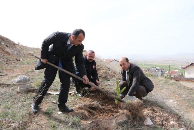 Afrin zaferi için 58 adet fidan diktiler