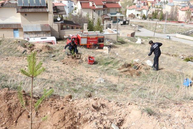 Afrin zaferi için 58 adet fidan diktiler