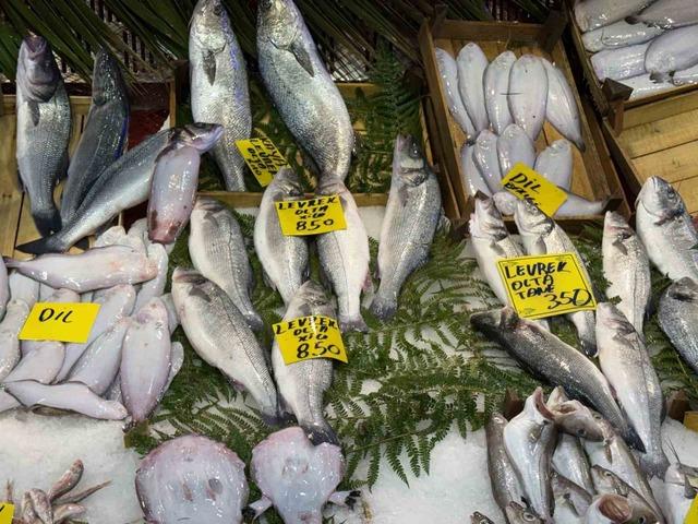 Balık tezgahlarındaki son durum 2