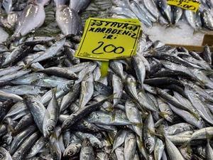 Balık tezgahlarındaki son durum