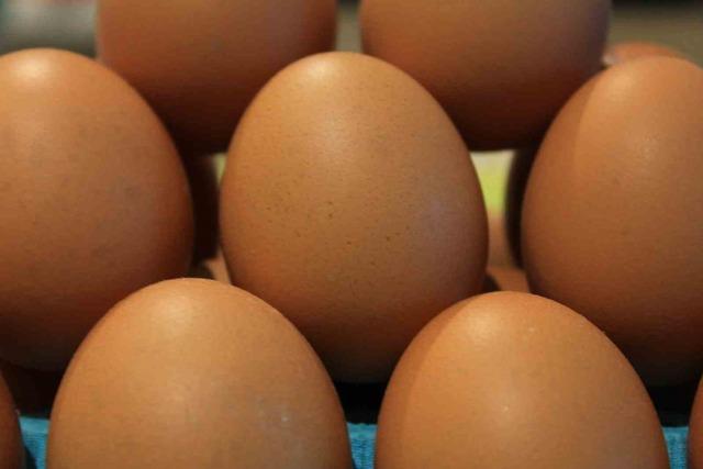 Kişi başına d&uuml;şen yumurta &uuml;retiminde d&uuml;ş&uuml;ş yaşanıyor 2