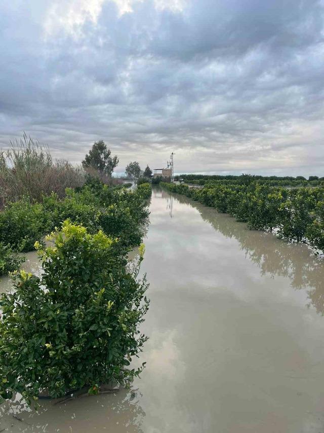 Adana’da şiddetli yağış, tarlaları sular altında bıraktı 2
