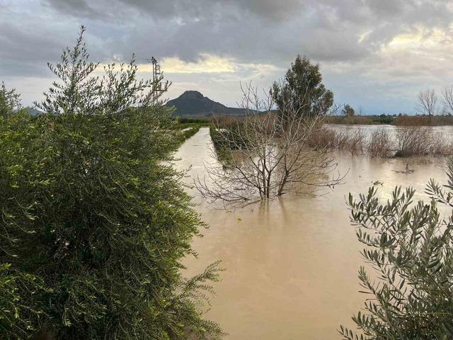 Adana’da şiddetli yağış, tarlaları sular altında bıraktı 1