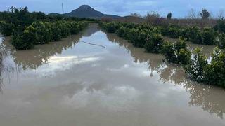 Adana’da şiddetli yağış, tarlaları sular altında bıraktı